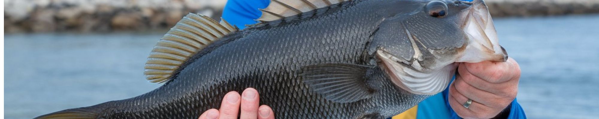 man holding a black Bass